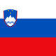 Slovenia Flag